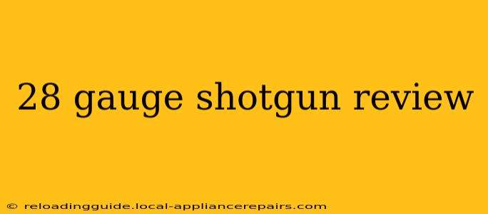 28 gauge shotgun review