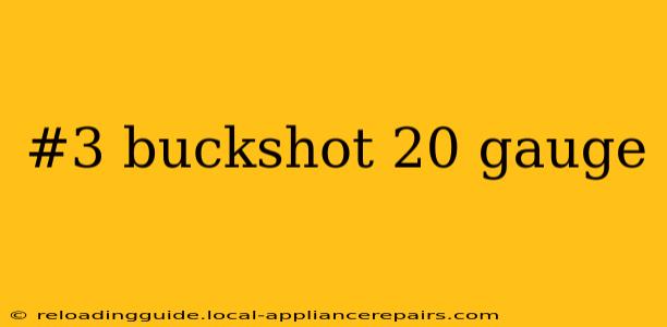 #3 buckshot 20 gauge