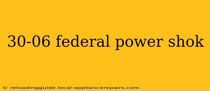 30-06 federal power shok