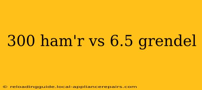 300 ham'r vs 6.5 grendel