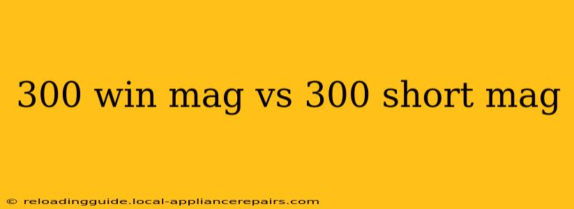 300 win mag vs 300 short mag