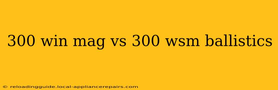 300 win mag vs 300 wsm ballistics