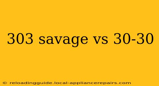 303 savage vs 30-30