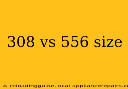 308 vs 556 size