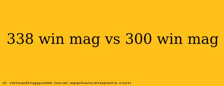 338 win mag vs 300 win mag