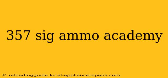 357 sig ammo academy