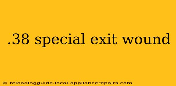 .38 special exit wound