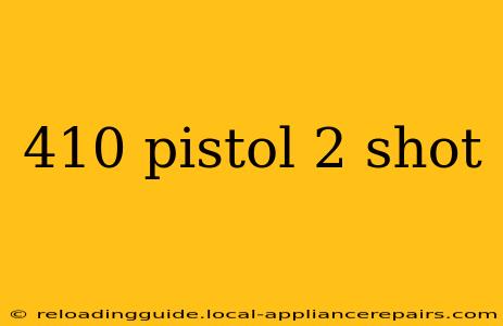 410 pistol 2 shot