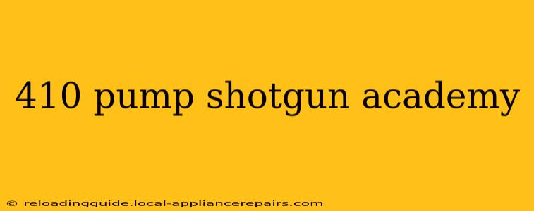 410 pump shotgun academy