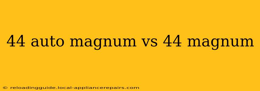 44 auto magnum vs 44 magnum