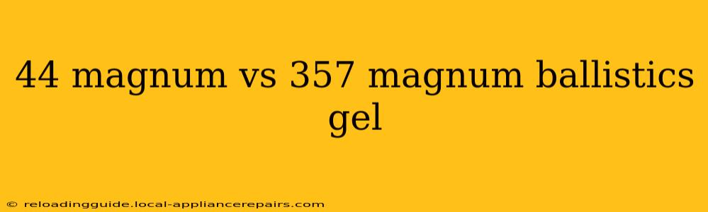 44 magnum vs 357 magnum ballistics gel