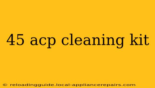 45 acp cleaning kit