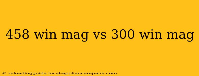 458 win mag vs 300 win mag