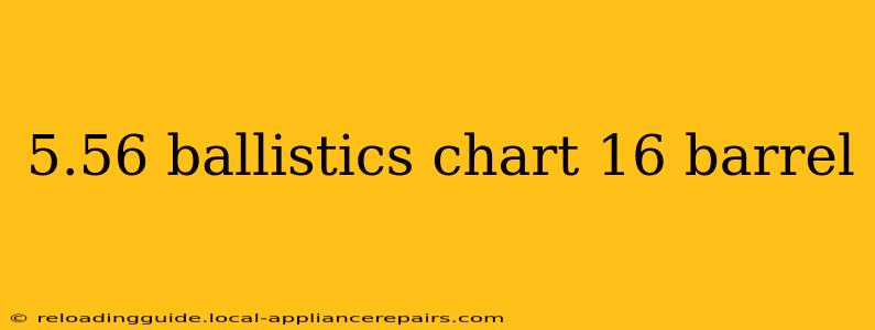 5.56 ballistics chart 16 barrel