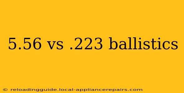 5.56 vs .223 ballistics