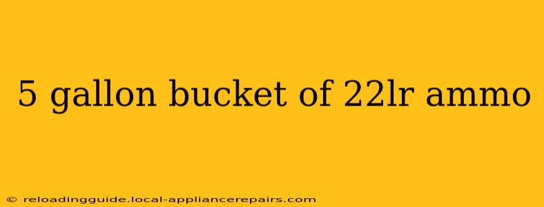 5 gallon bucket of 22lr ammo