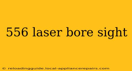 556 laser bore sight