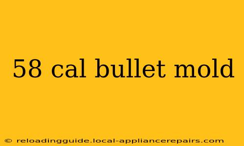 58 cal bullet mold