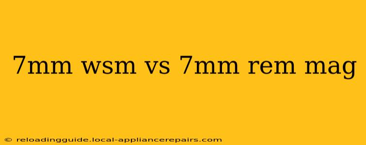 7mm wsm vs 7mm rem mag