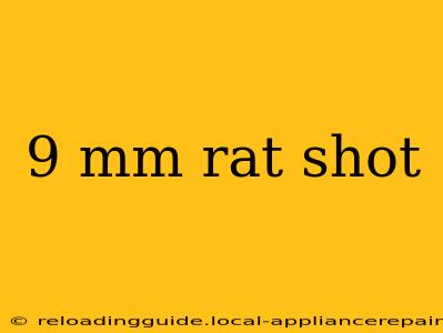 9 mm rat shot