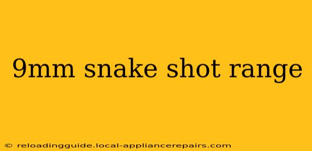 9mm snake shot range