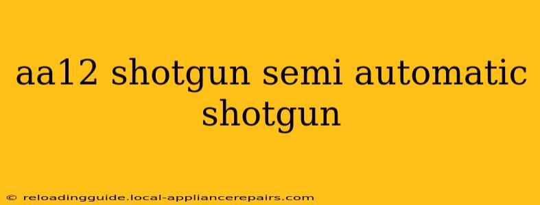 aa12 shotgun semi automatic shotgun