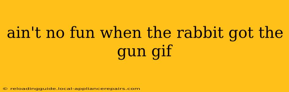 ain't no fun when the rabbit got the gun gif