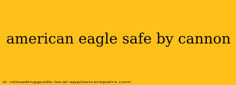 american eagle safe by cannon