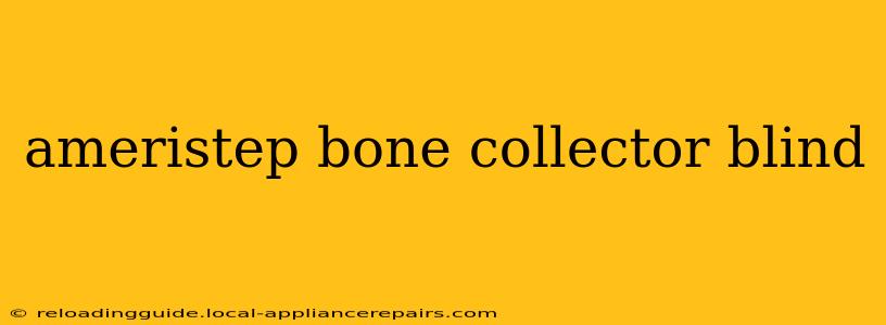 ameristep bone collector blind