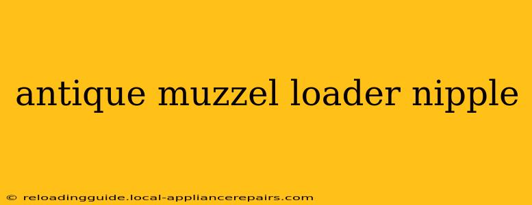 antique muzzel loader nipple