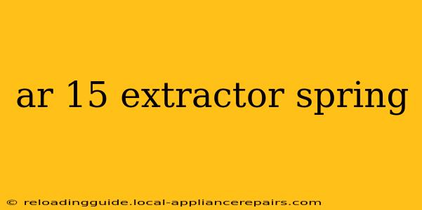 ar 15 extractor spring