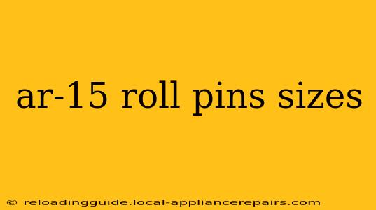 ar-15 roll pins sizes