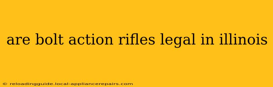 are bolt action rifles legal in illinois