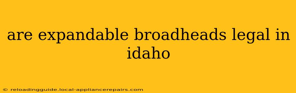 are expandable broadheads legal in idaho