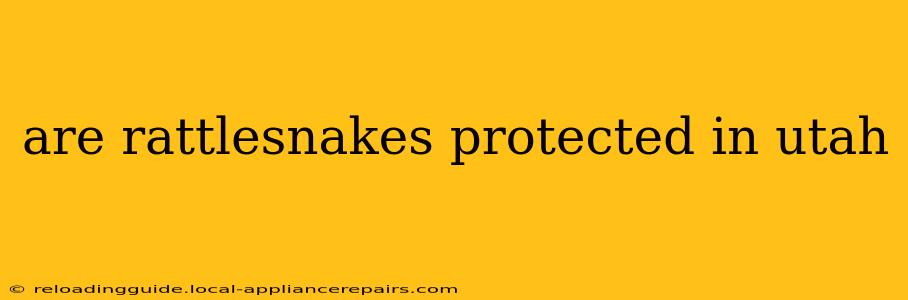 are rattlesnakes protected in utah