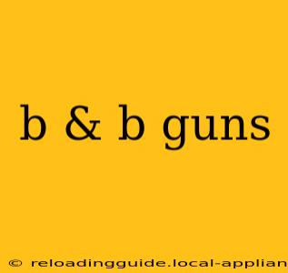 b & b guns