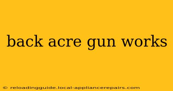 back acre gun works