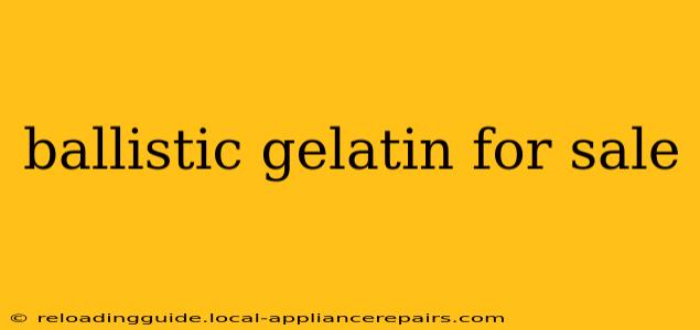 ballistic gelatin for sale