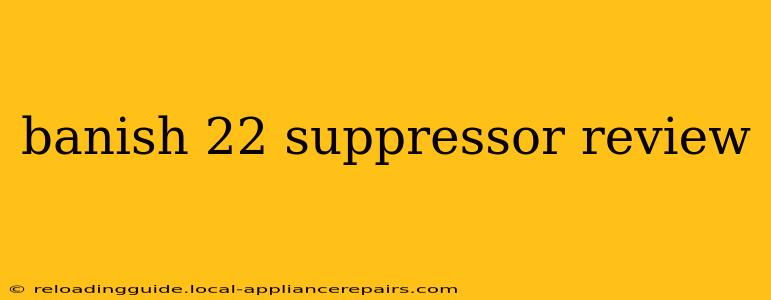 banish 22 suppressor review