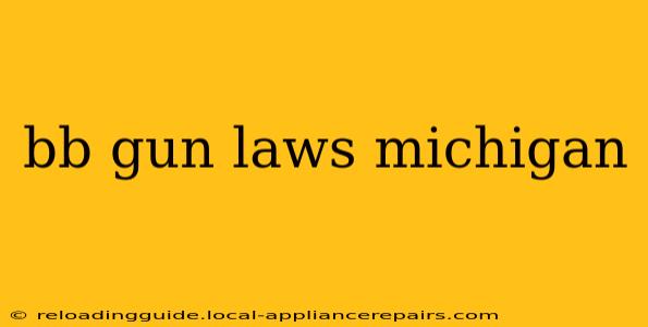 bb gun laws michigan