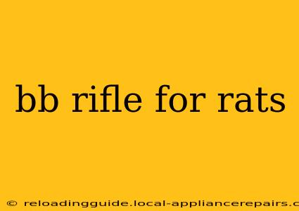 bb rifle for rats