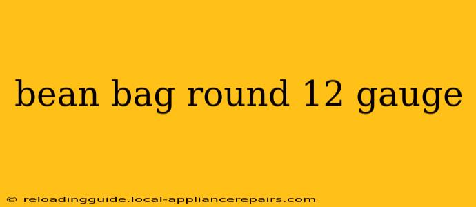 bean bag round 12 gauge