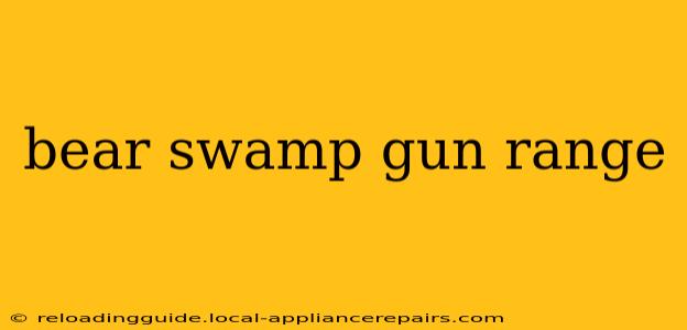 bear swamp gun range