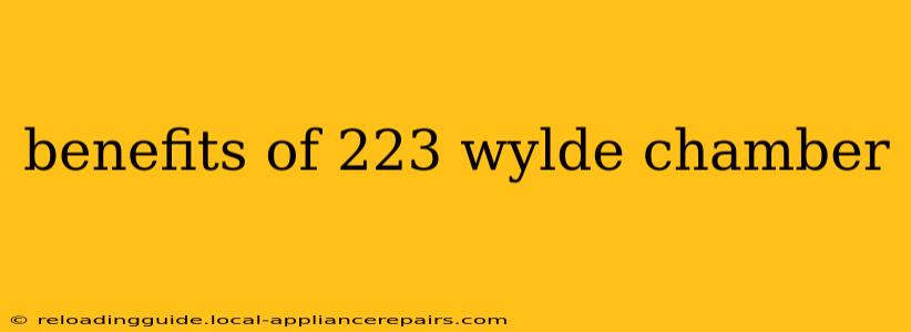 benefits of 223 wylde chamber