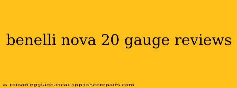 benelli nova 20 gauge reviews