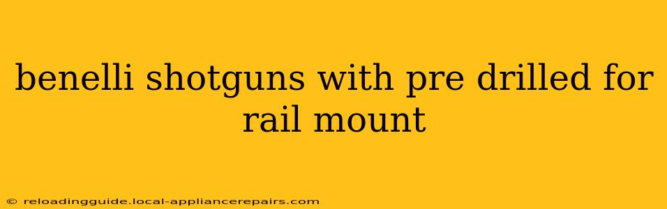 benelli shotguns with pre drilled for rail mount