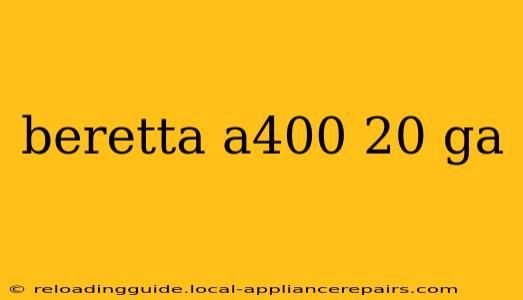 beretta a400 20 ga