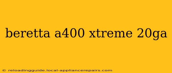 beretta a400 xtreme 20ga