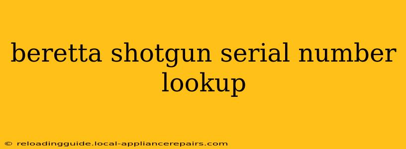 beretta shotgun serial number lookup