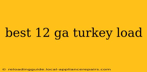 best 12 ga turkey load